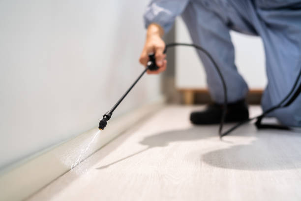 Licensed Fumigation Services service in Galatia, IL - Nex Pest Control