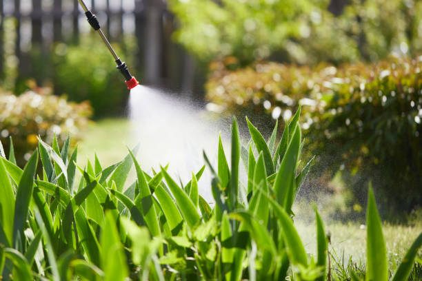 24/7 Emergency Fumigation Services experts in Galatia, IL